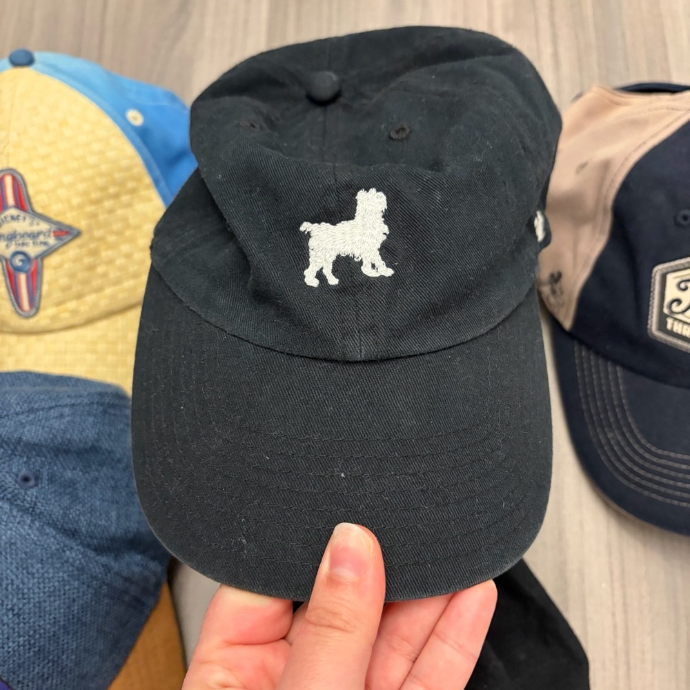 Assorted Baseball Caps with Embroidered Designs - image 5